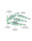 Benefits infographic for Janssen Cosmetics Stem Cell Fluid Ampoules highlighting firmer, revitalized-looking skin.